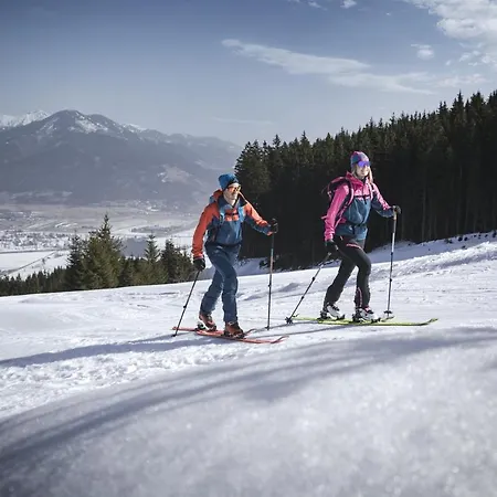 Gletschermoos - Summer Card Included 滨湖采尔